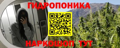 PSILOCYBIN Ирбит