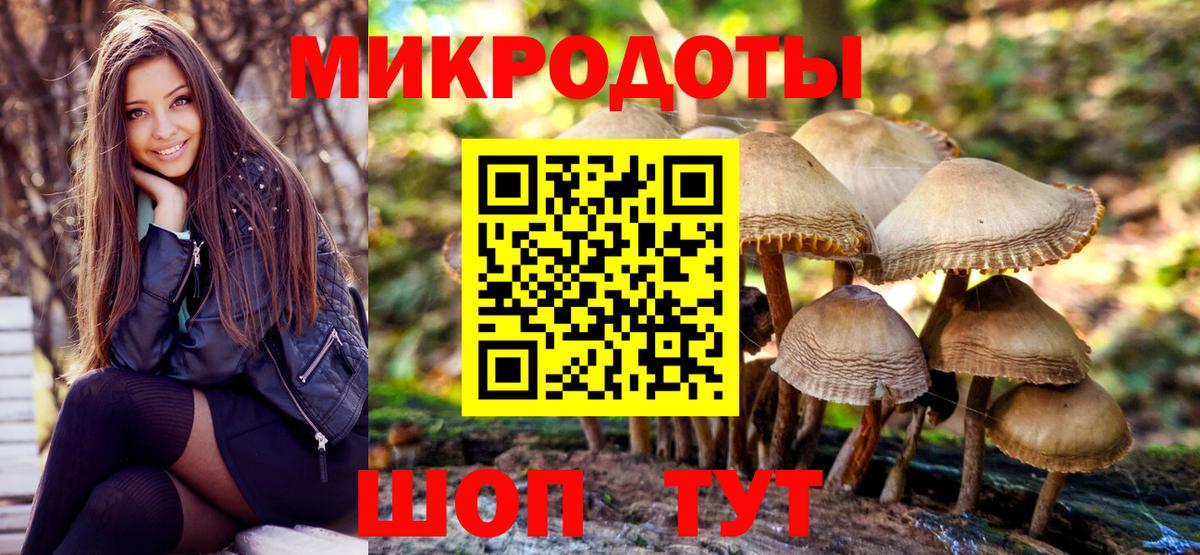 Раменское  Псилоцибиновые грибы прущие грибы  Вход с VPN  Галлюциногенные грибы Magic Shrooms 